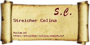 Streicher Celina névjegykártya